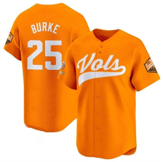 T.Volunteers #25 Blake Burke Orange 2024 Champions Vapor Limited Stitched College Jerseys